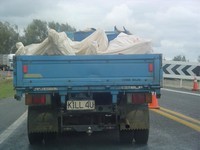 "K1LL 4U": an open carcass transport on our way from Auckland to Tongariro National Park.