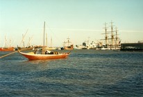 Ships in the Expo's harbour