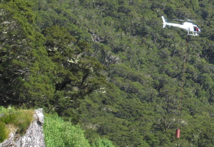 A helicopter, flying rich and lazy guided walk tourists' gear out from Lake McKenzie.