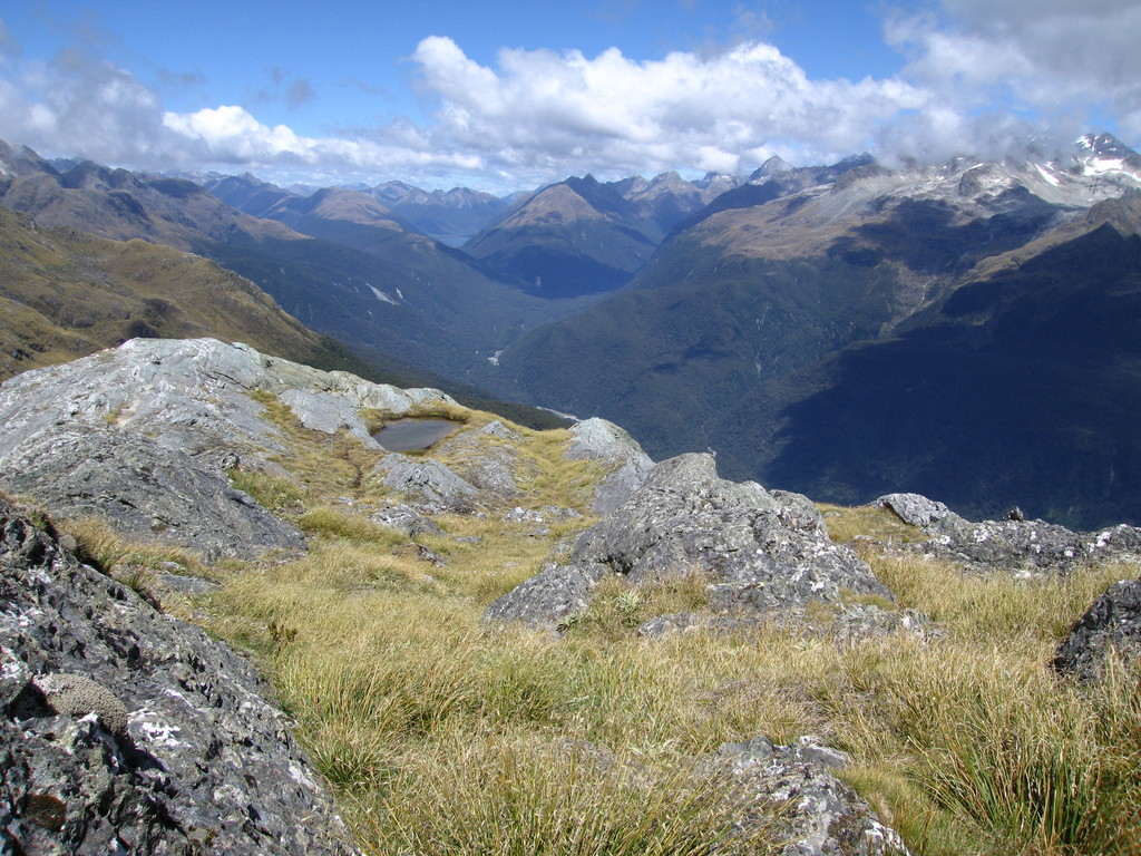 A little further to the left, still looking down into the Hollyford Valley