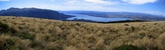 Lake Te Anau, viewn from just above where the Kepler track crosses the bushline on the first day's ascent.