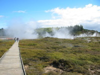 The "Craters of the Moon", near Lake Taupo. They are part of Wairakei, New Zealand's largest geothermal field. Its visible activity increased a lot when the Geothermal Power Station opened in 1958, draining water from geothermally heated underground supplies and thus increasing the heat of the remaining water.
