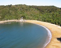 Te Pukatea Bay