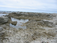 cragged rocks