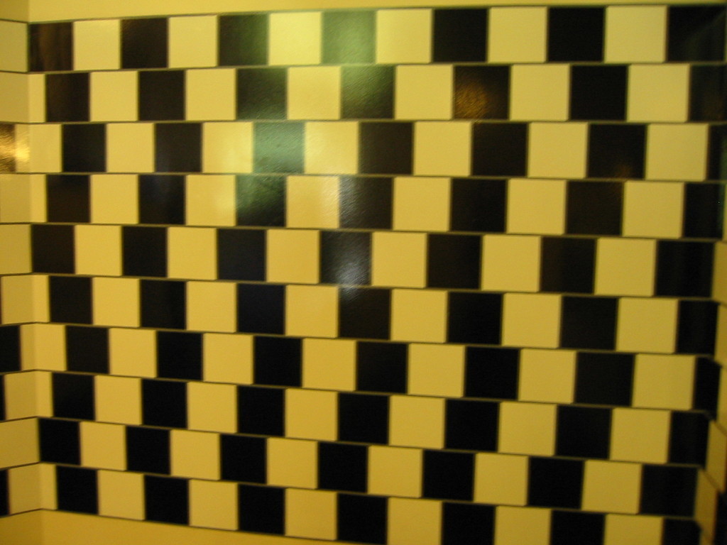 I think I'll adopt that tile pattern for my next bathroom!