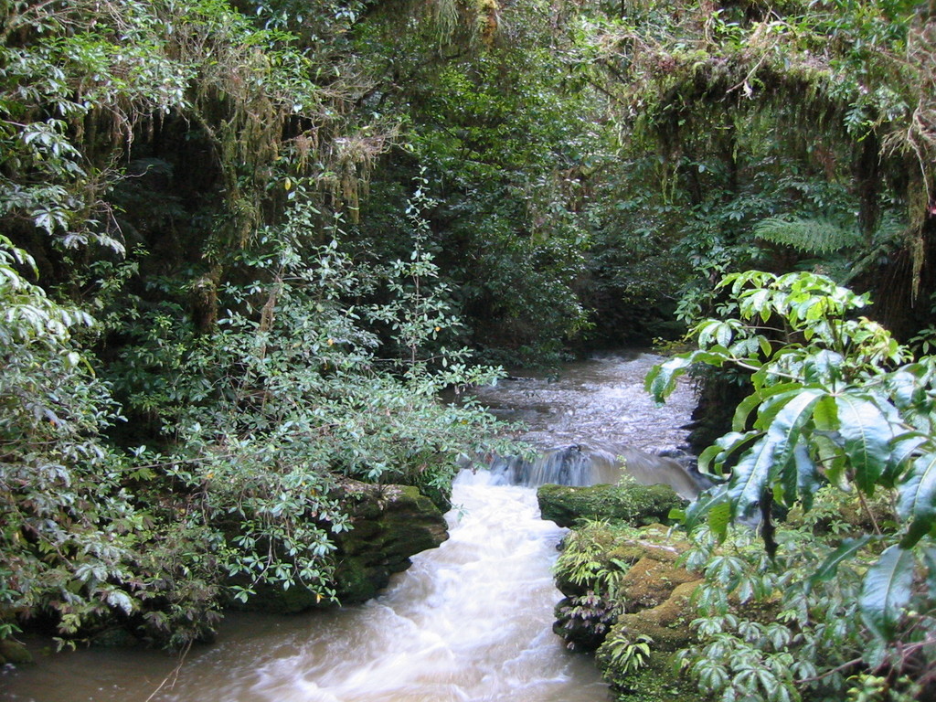 Beautiful river near the Mangapohue Natural Bridge Scenic Reserve