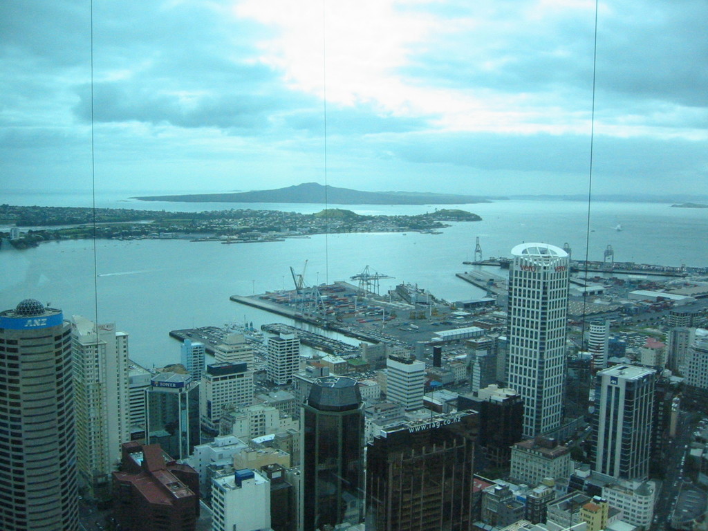 view from the skytower's viewing platform - the lines are the wires for the 195m skyjump (not a bungy jump, but slightly slower).