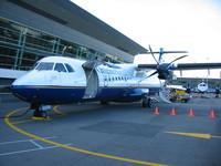 The small plane (tail number: ZK-JSZ) with which I flew to Wellington.