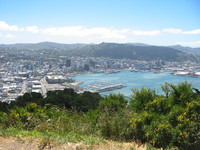 Splendid view over Wellington from Mt Victoria. The big flat building to the left of the Yacht harbour is Te Papa.