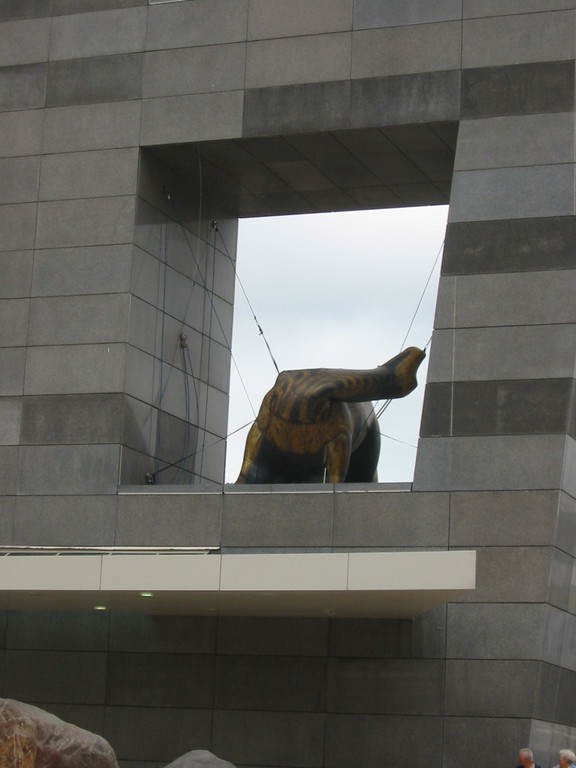 Inflated dinosaur fighting with the wind (outside Te Papa)