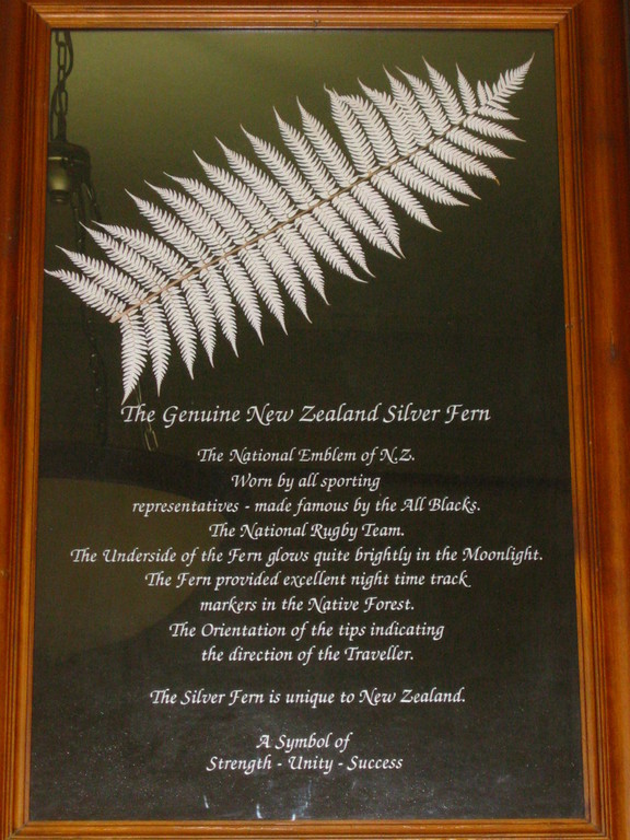 Information about the silver fern - in parliament.